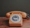 Telefono fisso solo voce over 60: 5 offerte del periodo